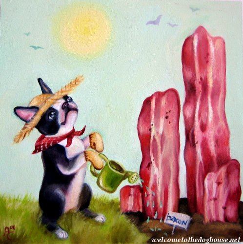 dog_bacon_garden.jpg