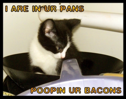 poopin_on_bacon.jpg