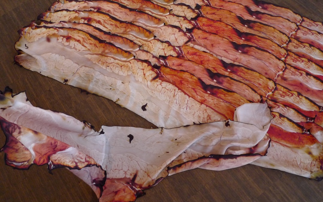Bacon Wrapped You