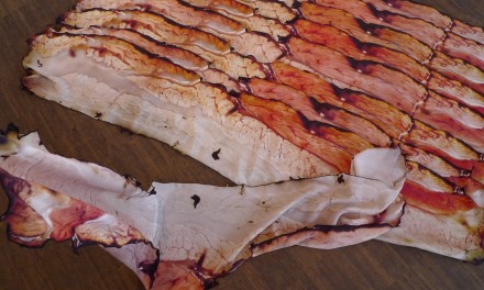 Bacon Wrapped You