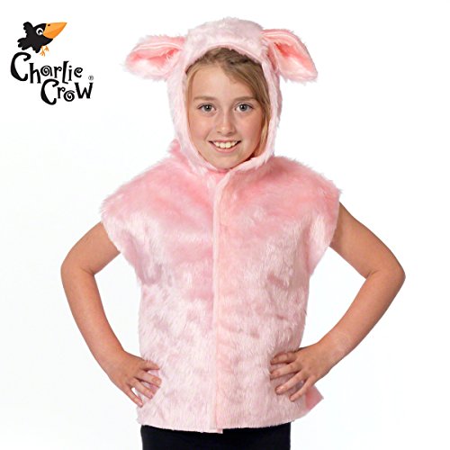 Pig-T-shirt-Style-Costume-for-Kids-0